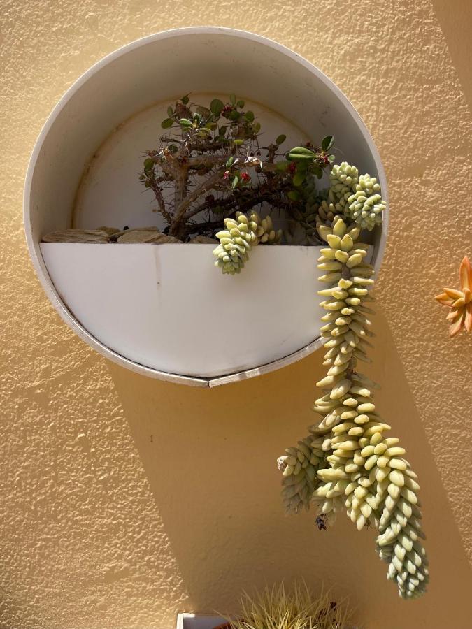 Eco House Golfinhos Apartment Corralejo Exterior photo